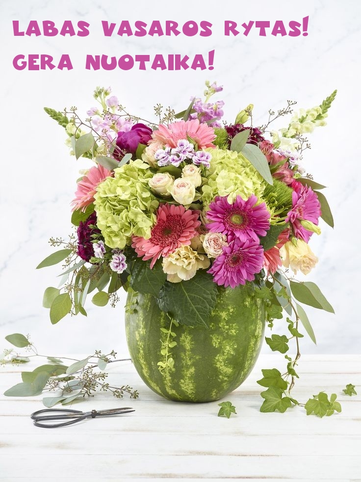 Labas vasaros rytas! Gera nuotaika!