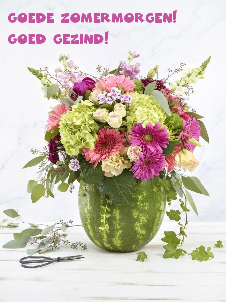 Goede zomermorgen! Goed gezind!