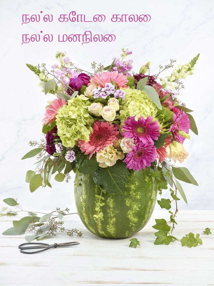 நல்ல கோடை காலை! நல்ல மனநிலை!