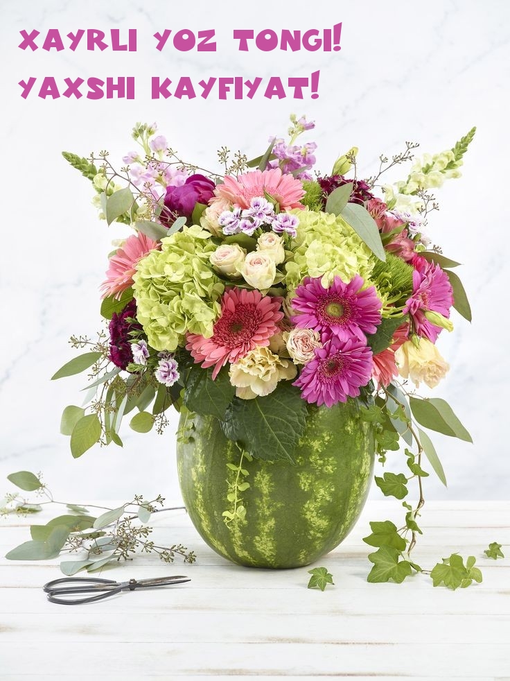 Xayrli yoz tongi! Yaxshi kayfiyat!