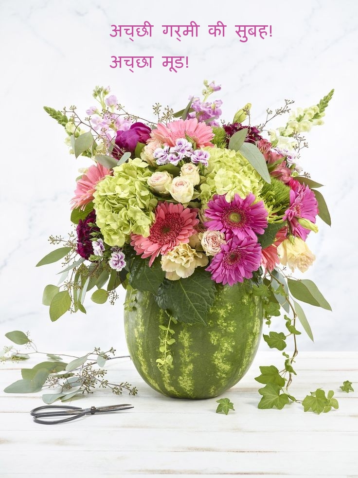 अच्छी गर्मी की सुबह! अच्छा मूड!