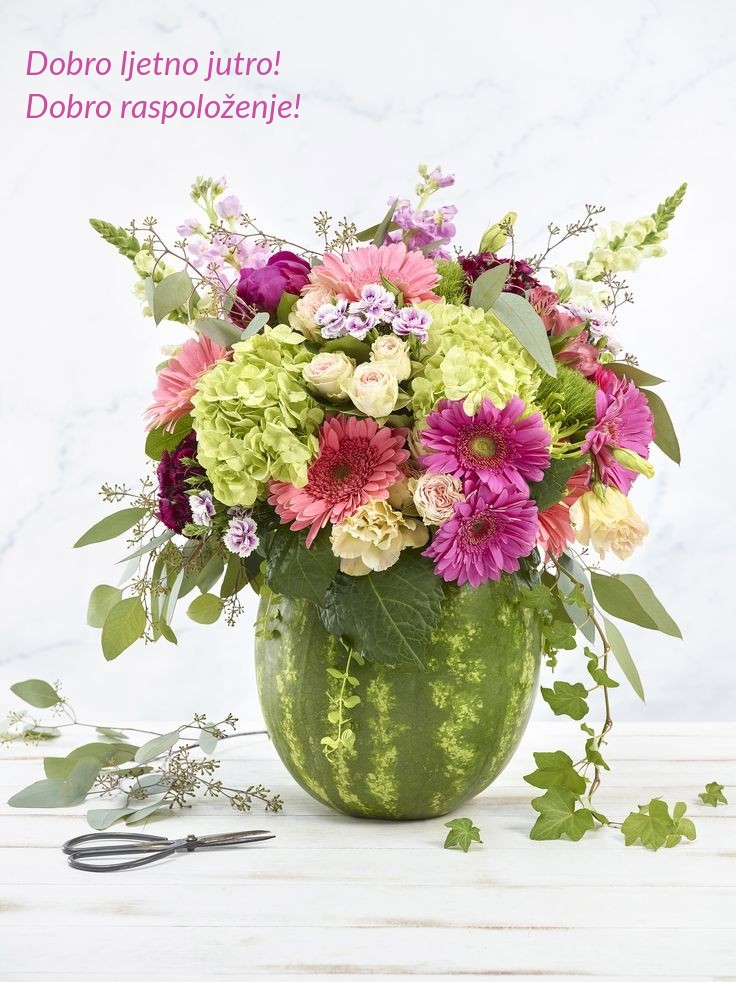 Dobro ljetno jutro! Dobro raspoloženje!