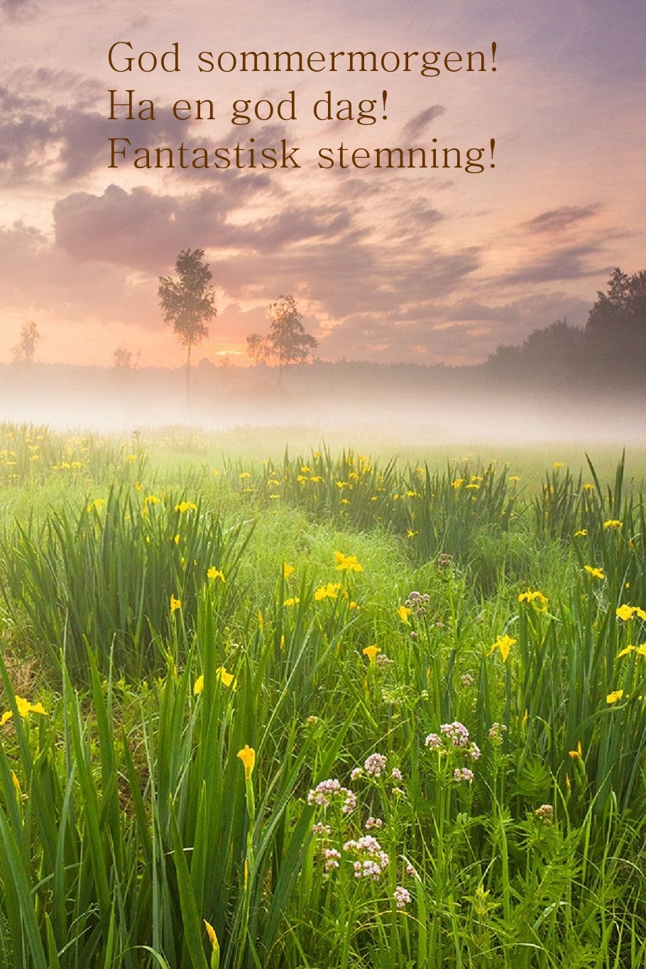God sommermorgen! Ha en god dag! Fantastisk stemning!