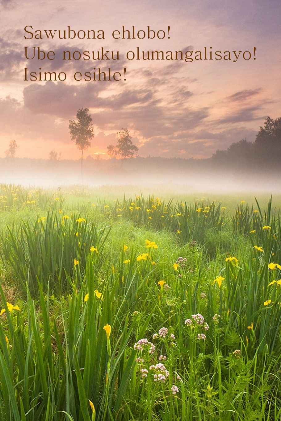 Sawubona ehlobo! Ube nosuku olumangalisayo! Isimo esihle!