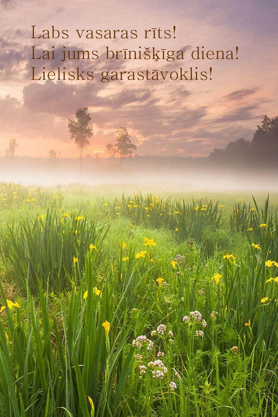 Labs vasaras rīts! Lai jums brīnišķīga diena!