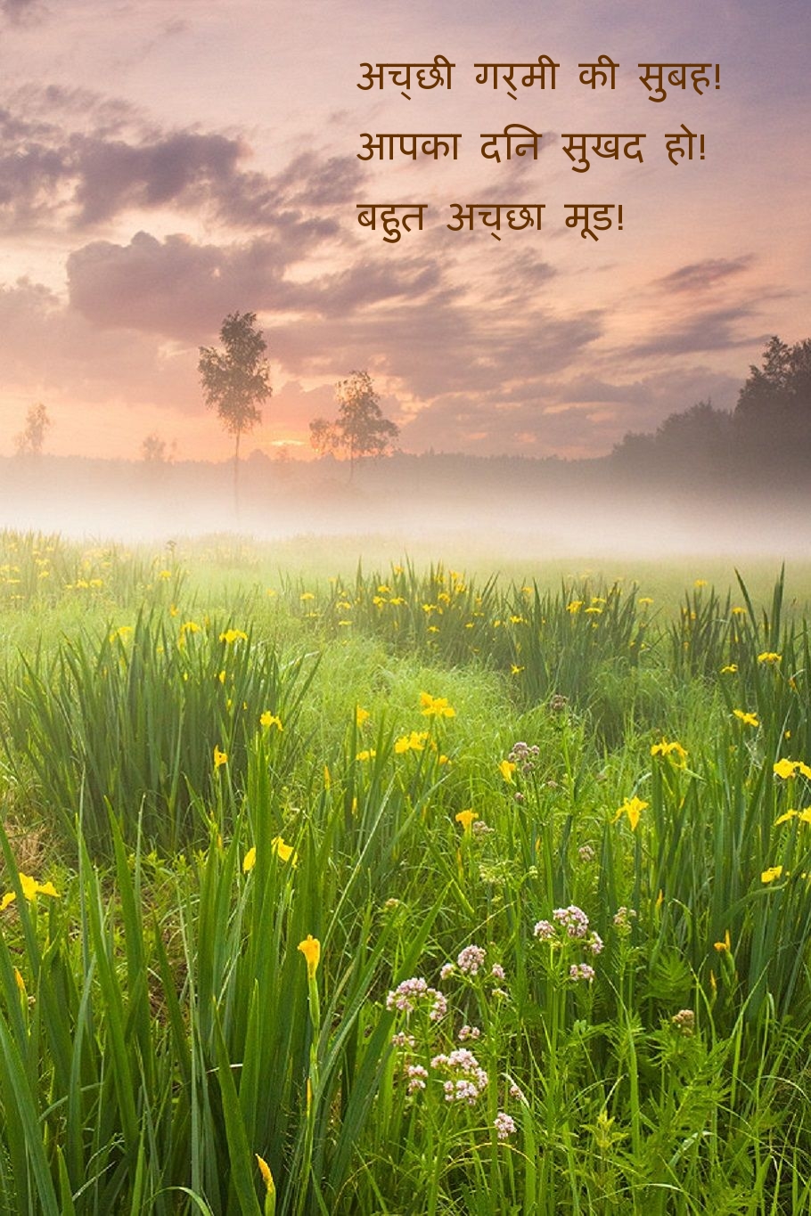 अच्छी गर्मी की सुबह! आपका दिन सुखद हो!