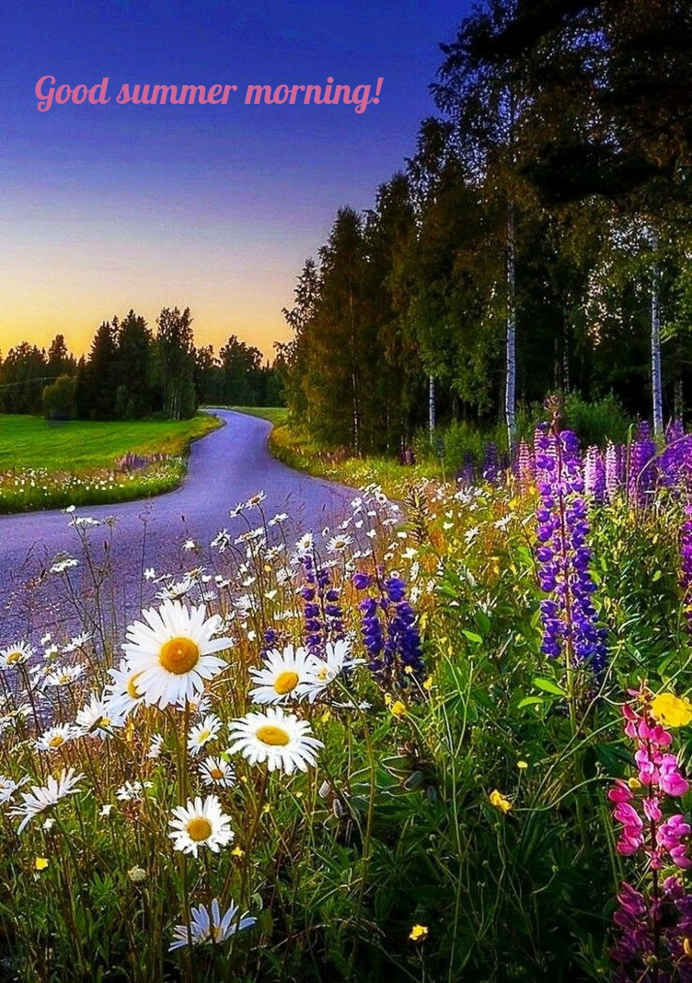 Good summer morning!