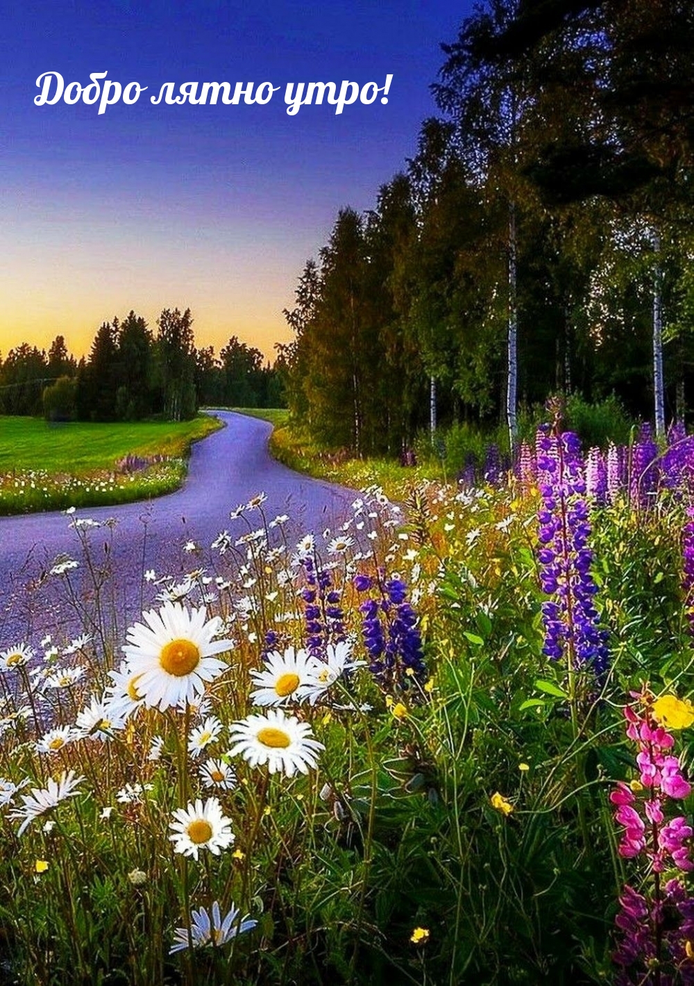 Добро лятно утро!