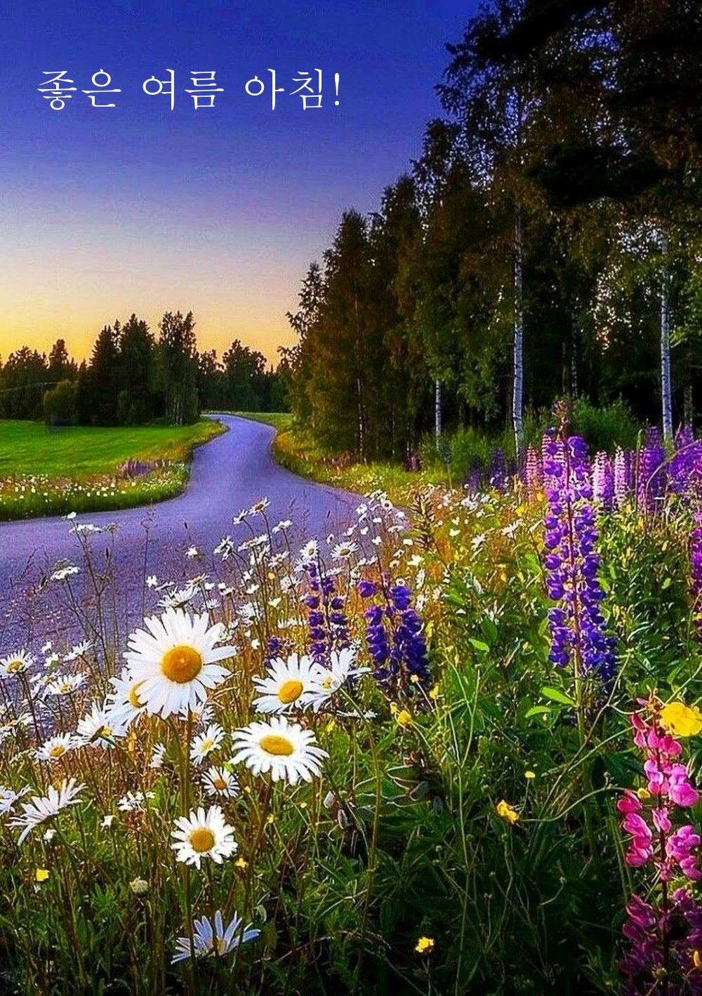 좋은 여름 아침!