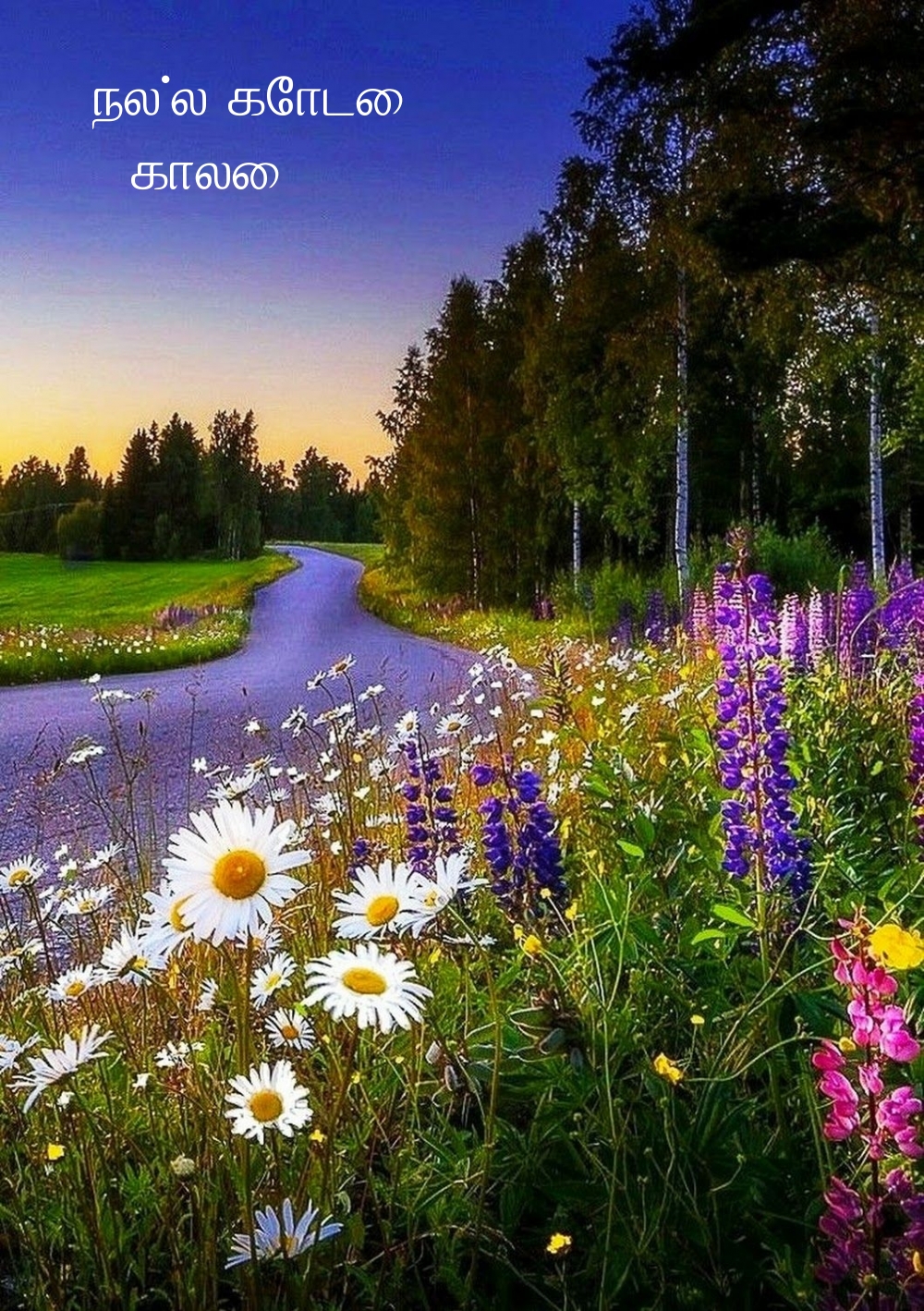 நல்ல கோடை காலை!