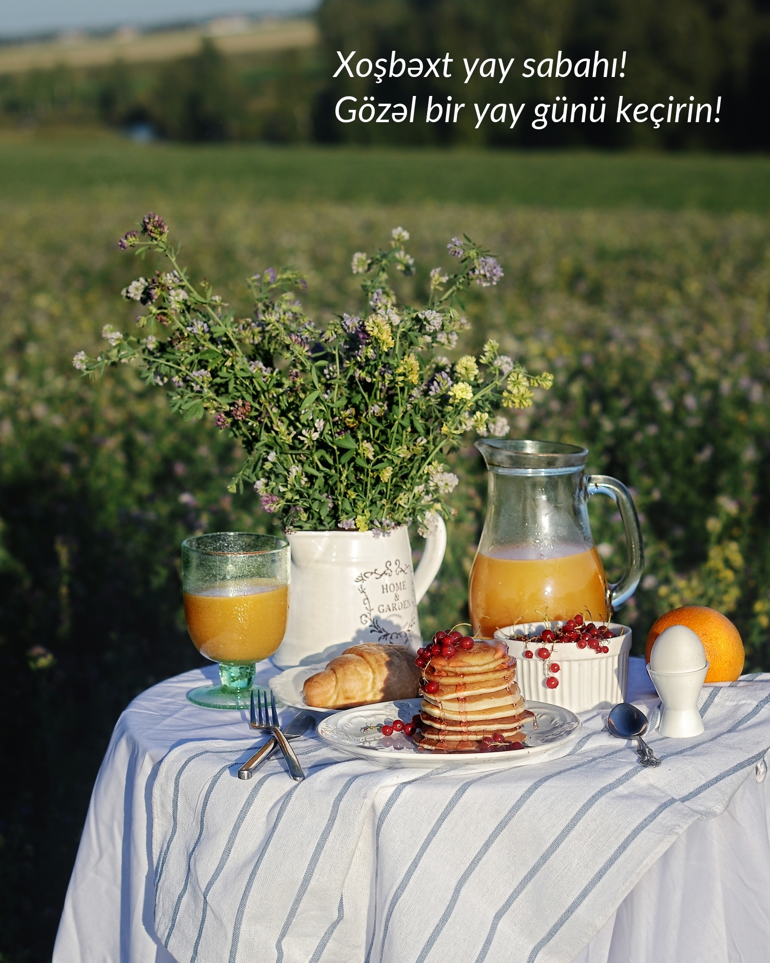 Xoşbəxt yay sabahı! Gözəl bir yay günü keçirin!
