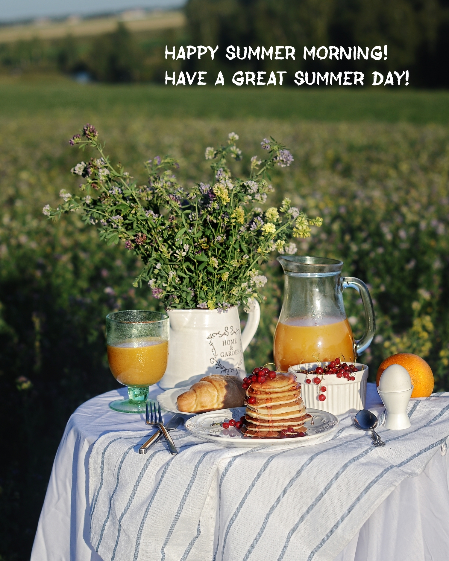 Happy summer morning! Have a great summer day!