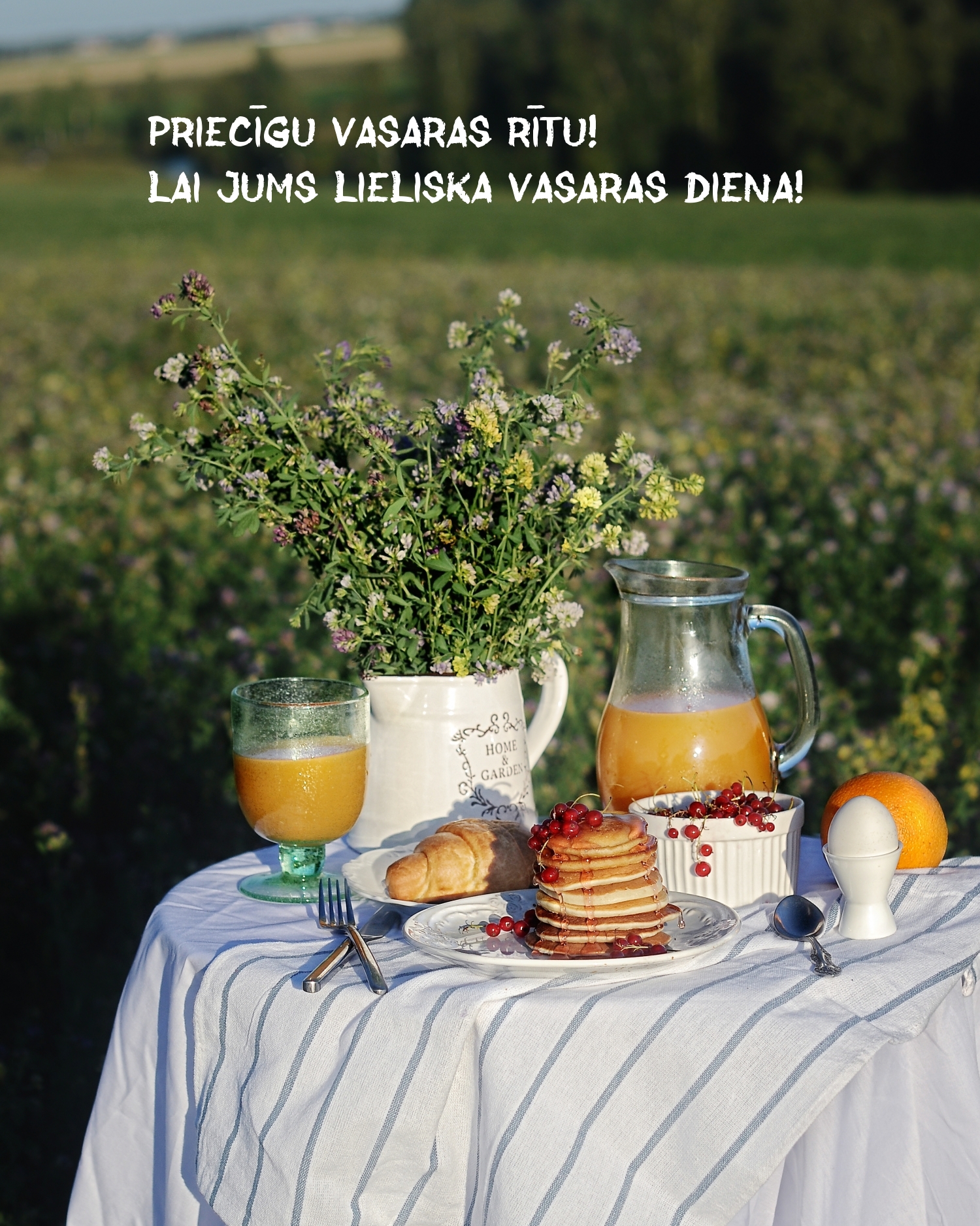 Priecīgu vasaras rītu! Lai jums lieliska vasaras diena!