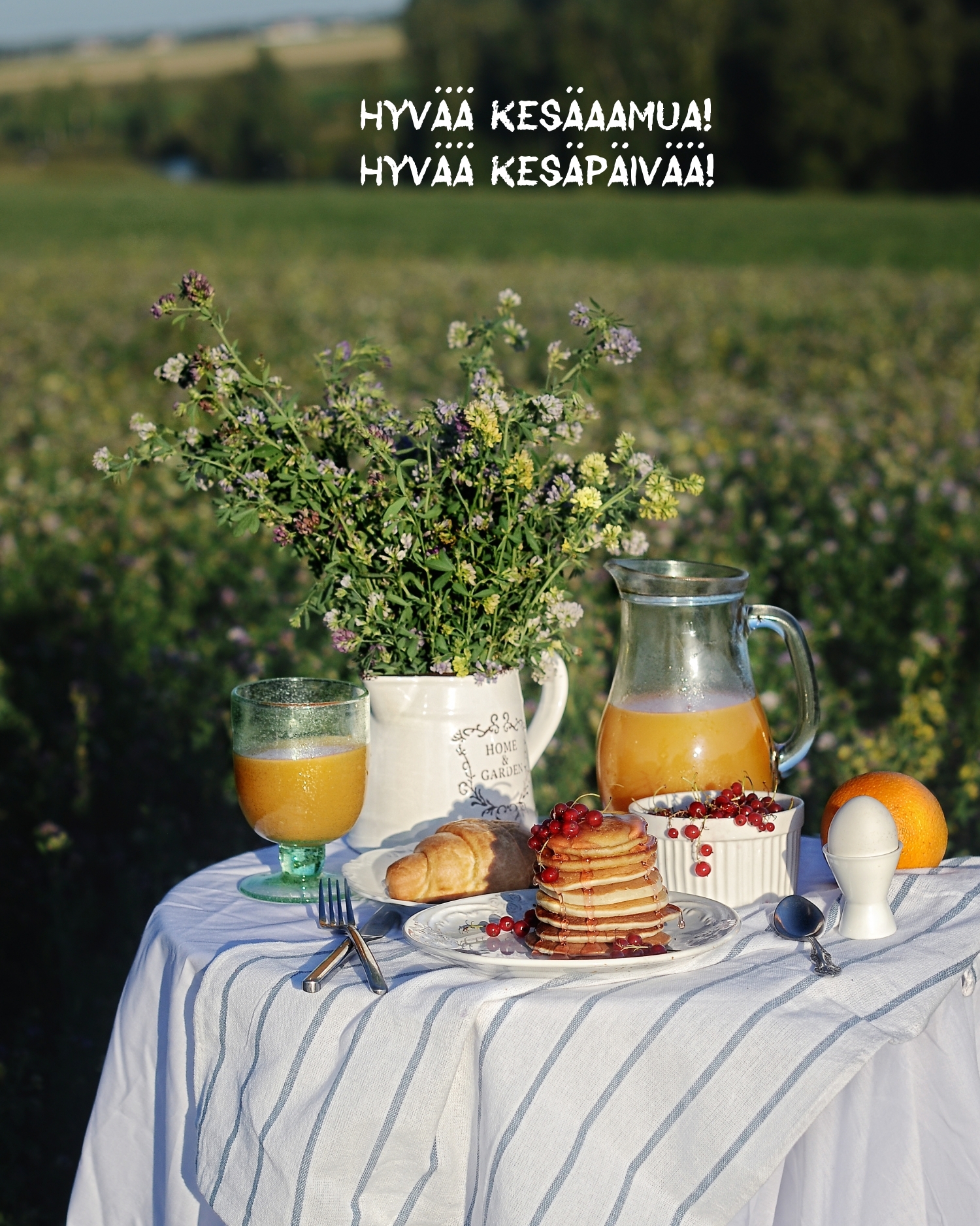Hyvää kesäaamua! Hyvää kesäpäivää!