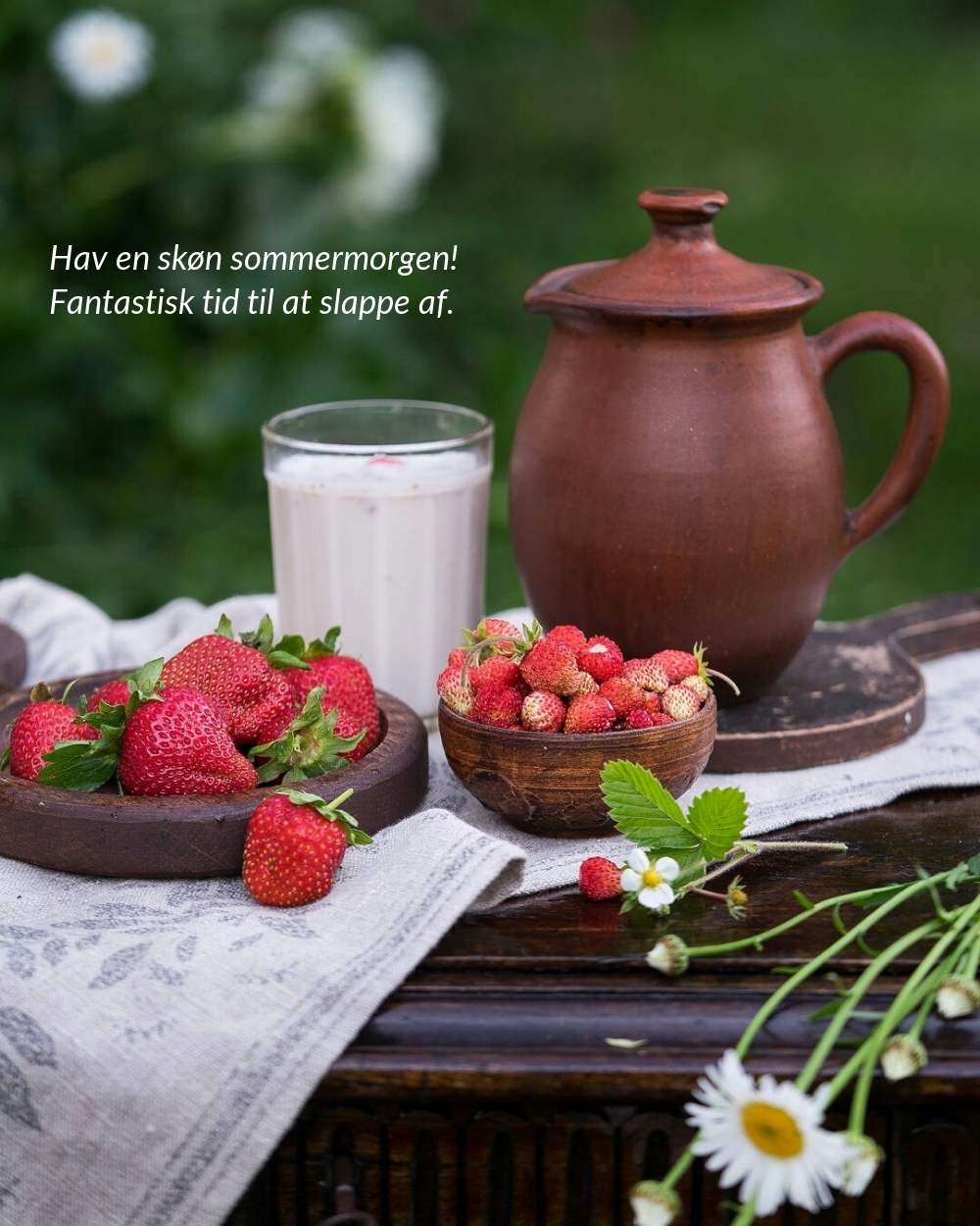 Hav en skøn sommermorgen! Fantastisk tid til at slappe af.