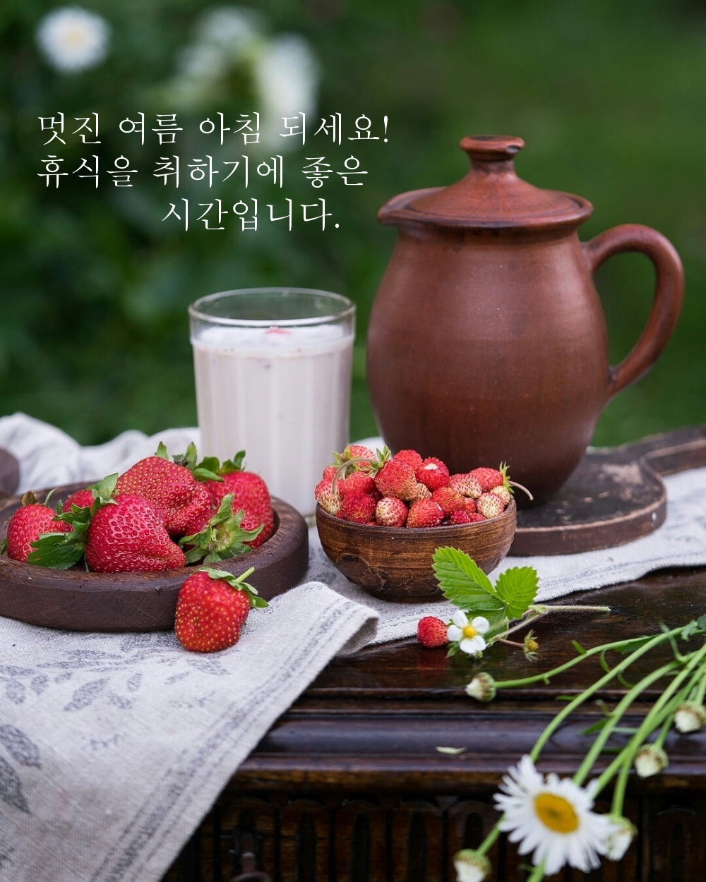 멋진 여름 아침 되세요! 휴식을 취하기에 좋은 시간입니다.