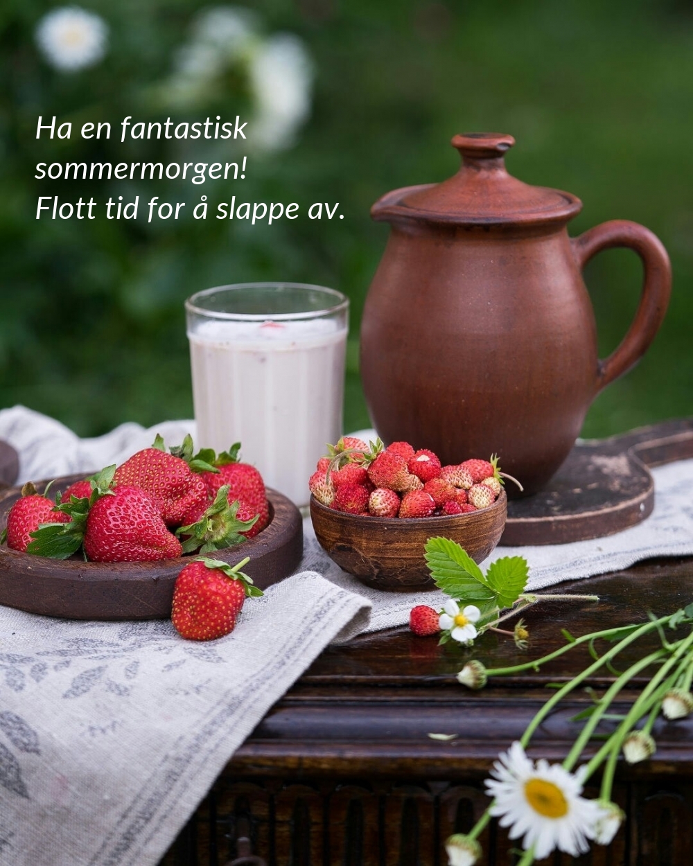 Ha en fantastisk sommermorgen! Flott tid for å slappe av.