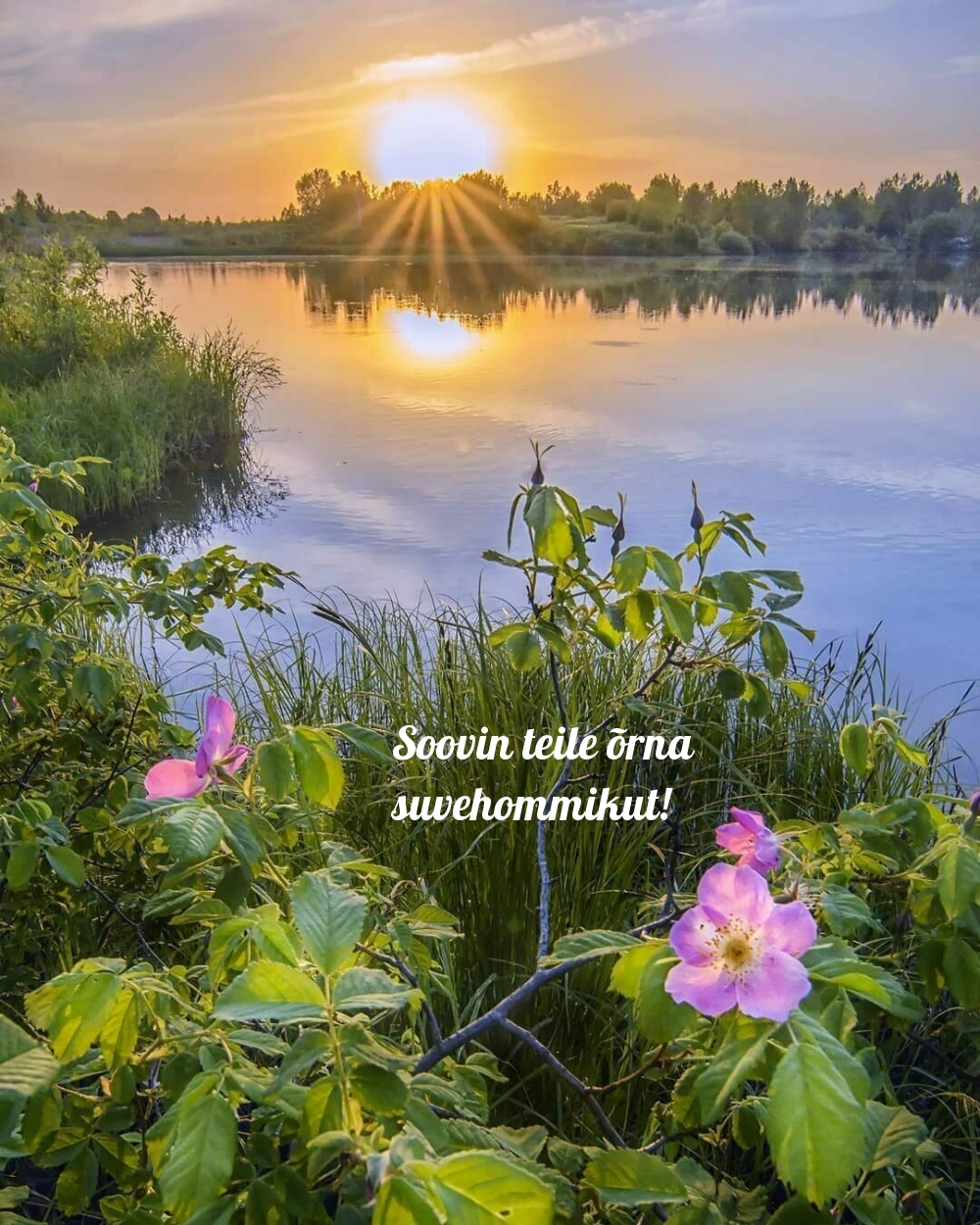 Soovin teile õrna suvehommikut!