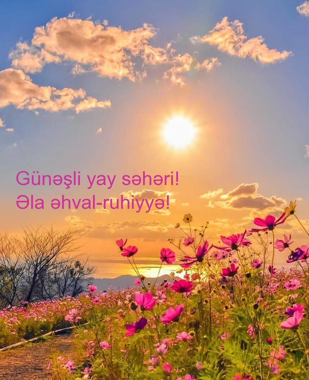 Günəşli yay səhəri! Əla əhval-ruhiyyə!