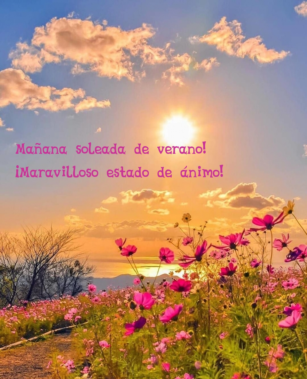 Mañana soleada de verano! ¡Maravilloso estado de ánimo!