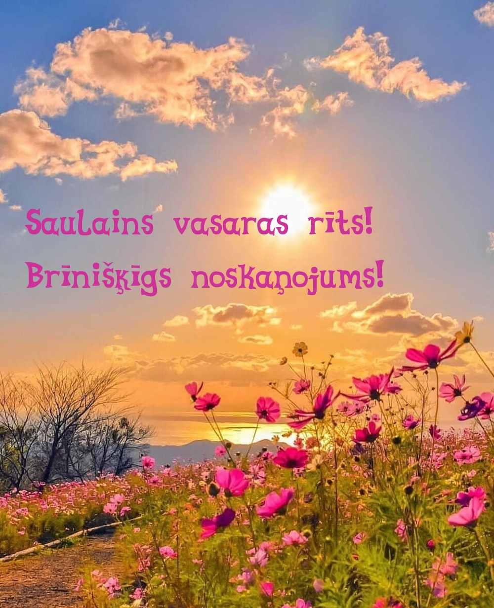 Saulains vasaras rīts! Brīnišķīgs noskaņojums!