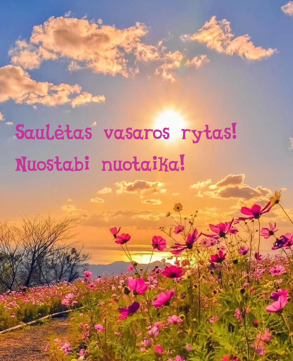 Saulėtas vasaros rytas! Nuostabi nuotaika!