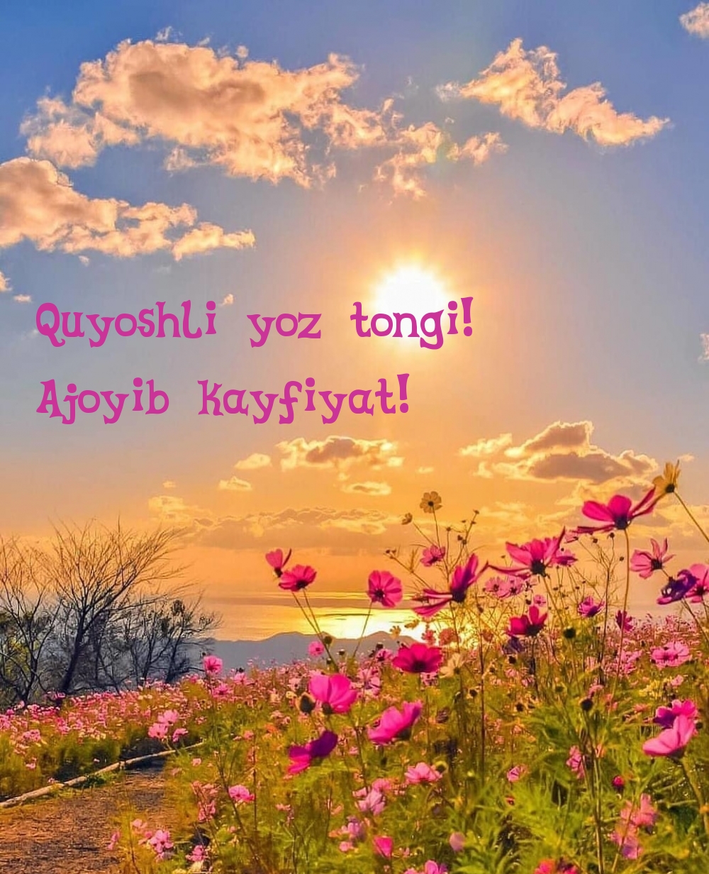 Quyoshli yoz tongi! Ajoyib kayfiyat!