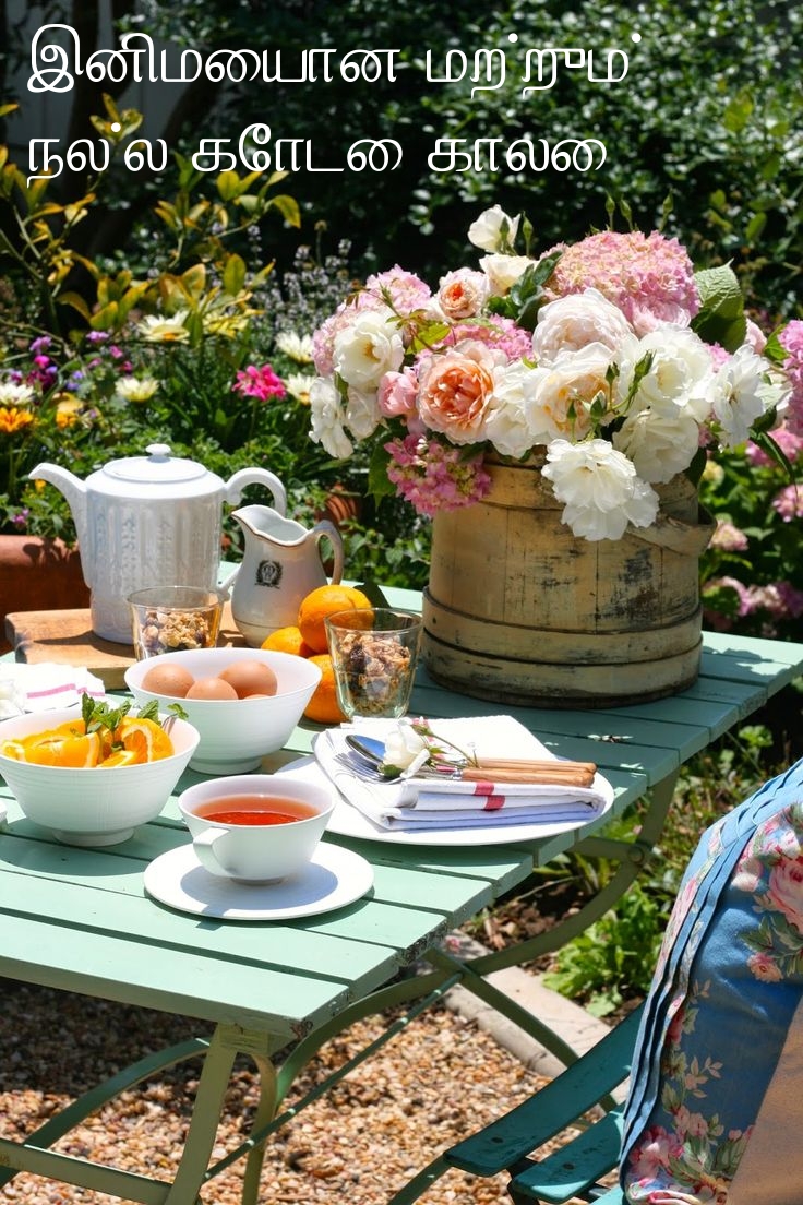 இனிமையான மற்றும் நல்ல கோடை காலை!