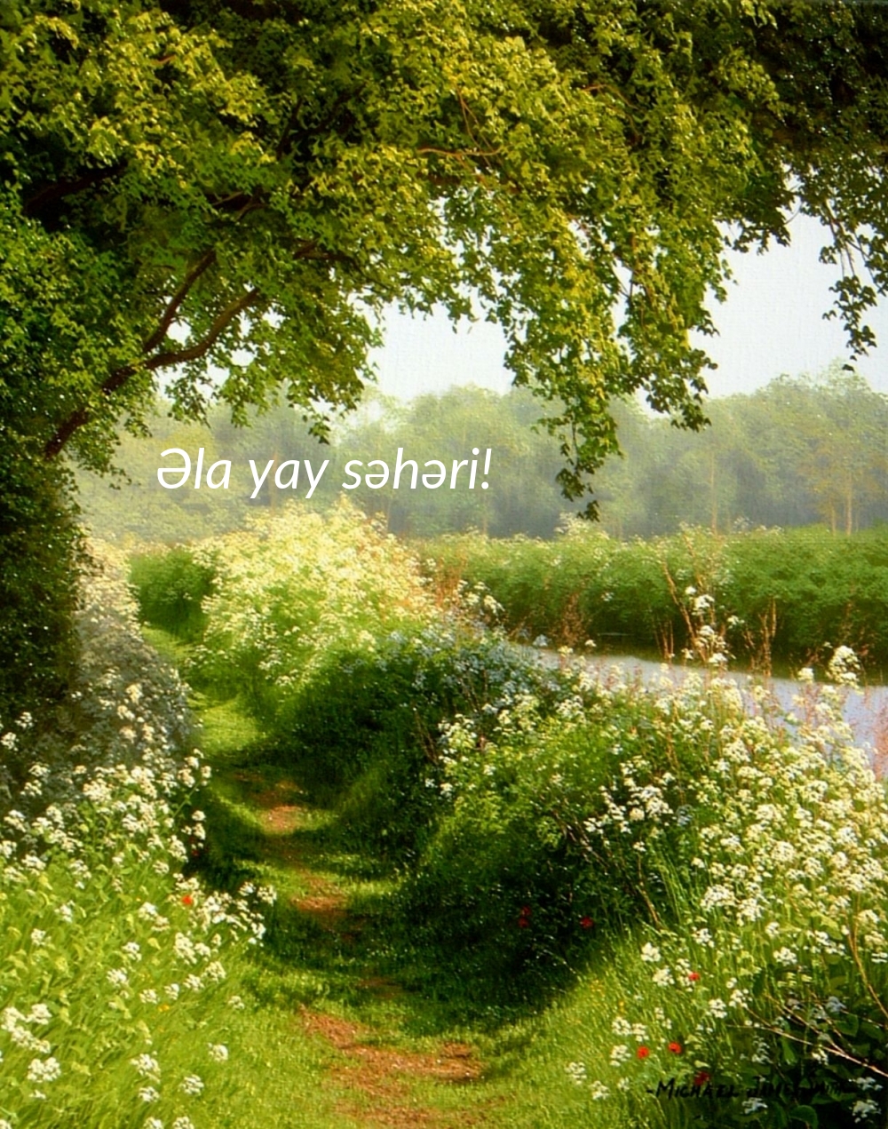 Əla yay səhəri!