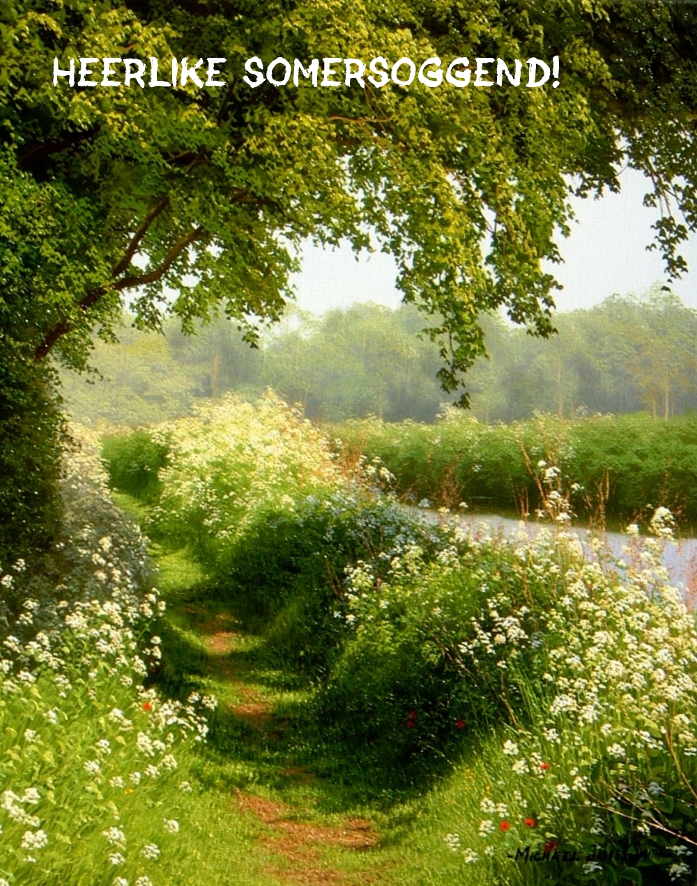 Heerlike somersoggend!