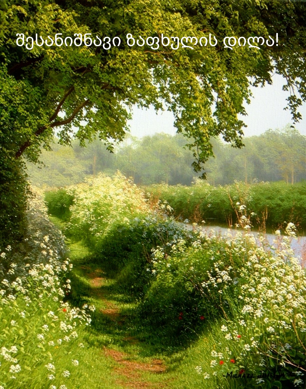 შესანიშნავი ზაფხულის დილა!