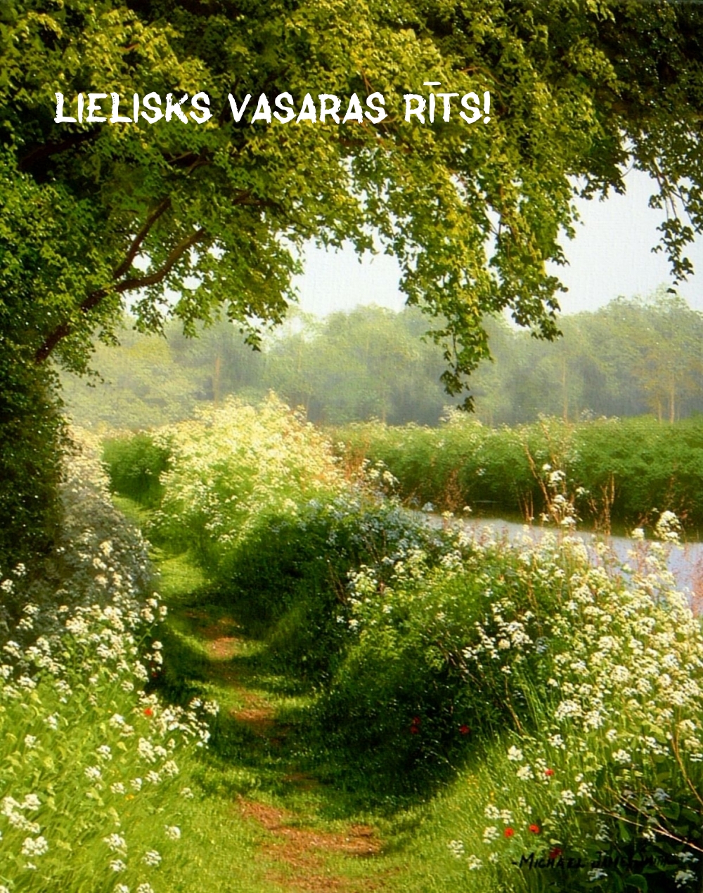 Lielisks vasaras rīts!
