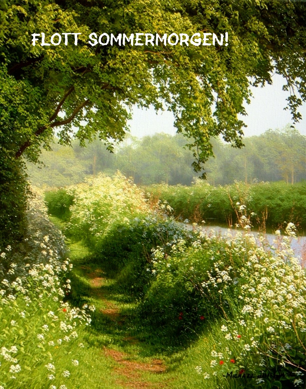 Flott sommermorgen!