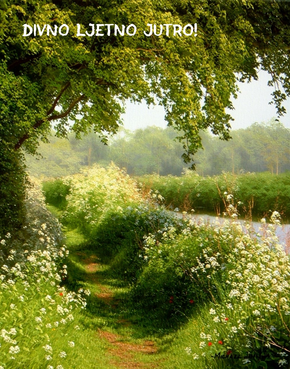 Divno ljetno jutro!