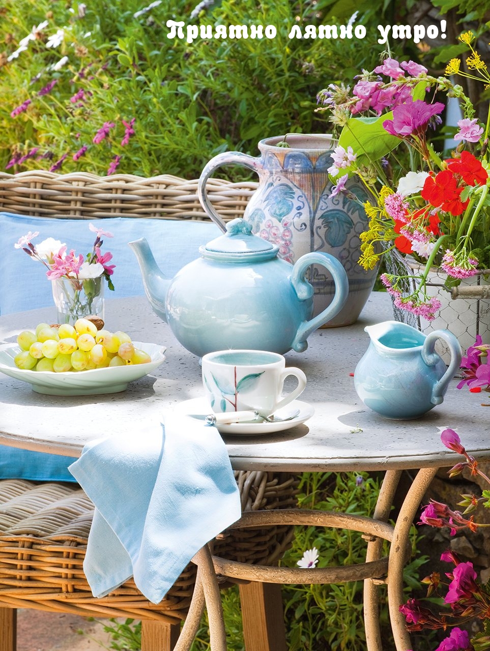 Приятно лятно утро!