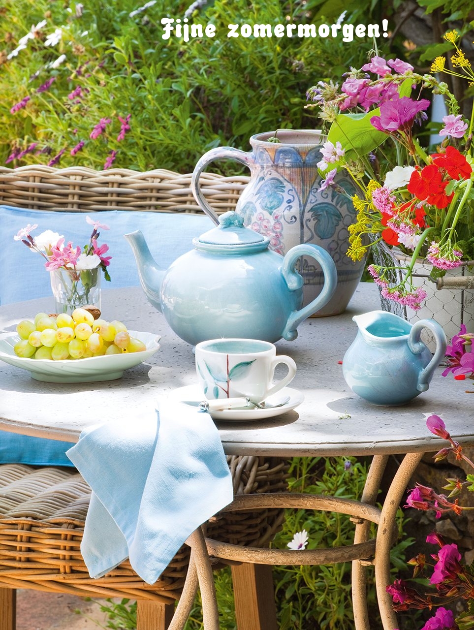 Fijne zomermorgen!