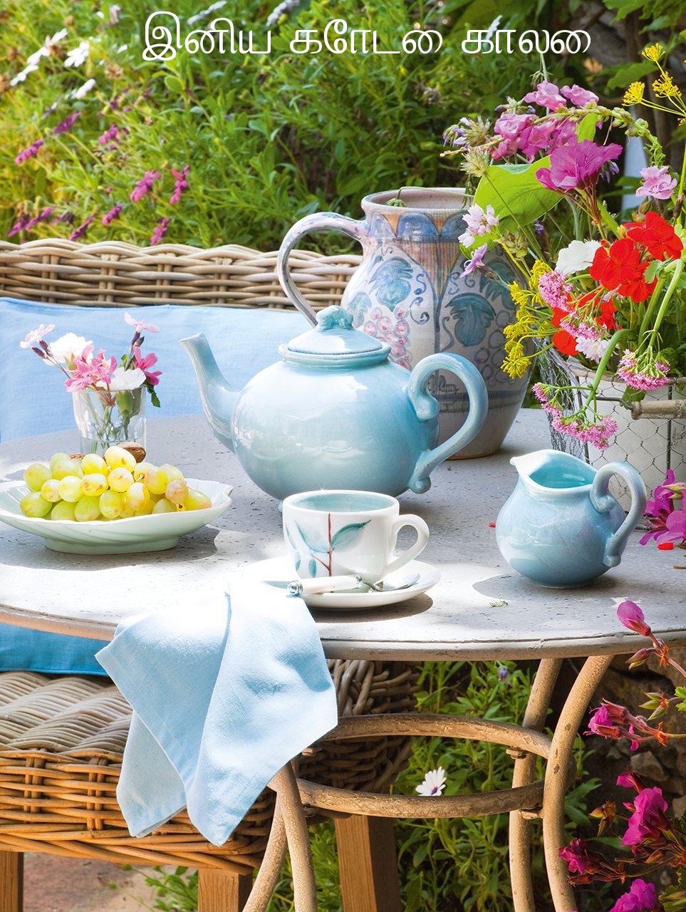 இனிய கோடை காலை!