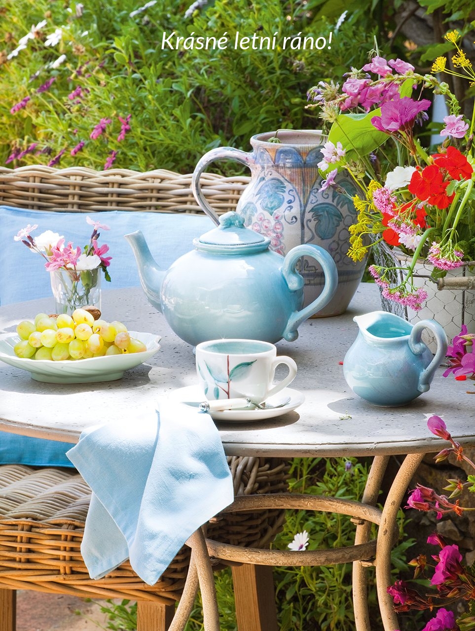 Krásné letní ráno!