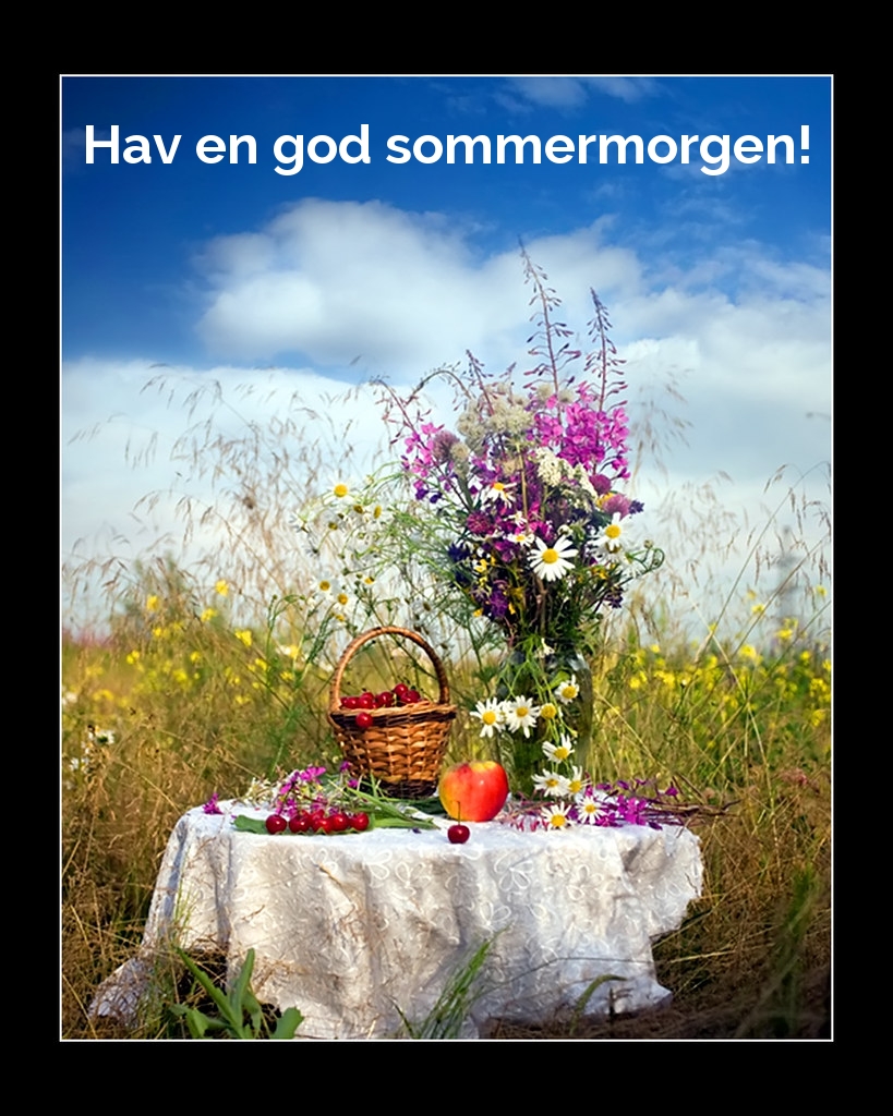 Hav en god sommermorgen!