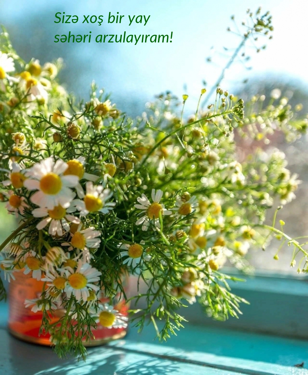 Sizə xoş bir yay səhəri arzulayıram!