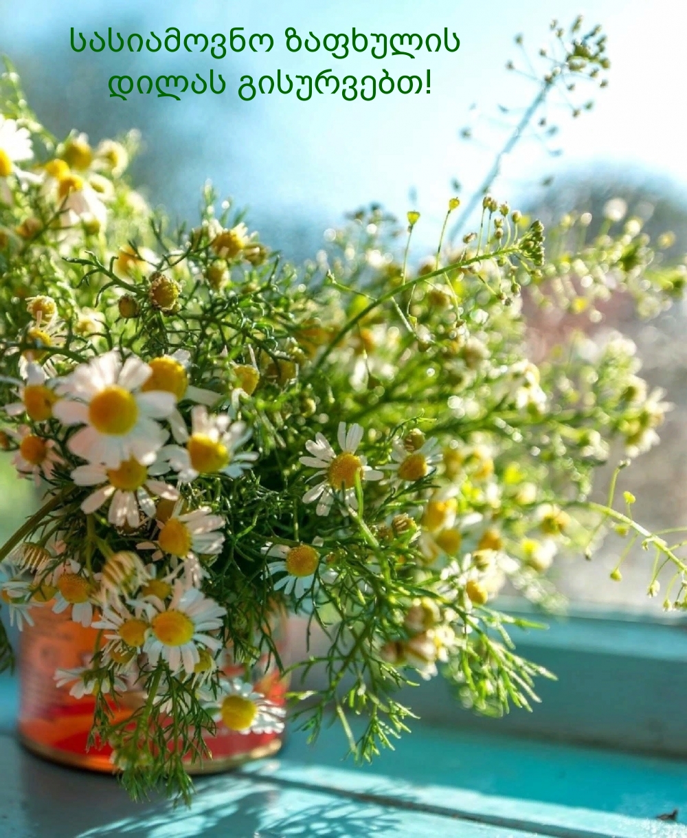 სასიამოვნო ზაფხულის დილას გისურვებთ!