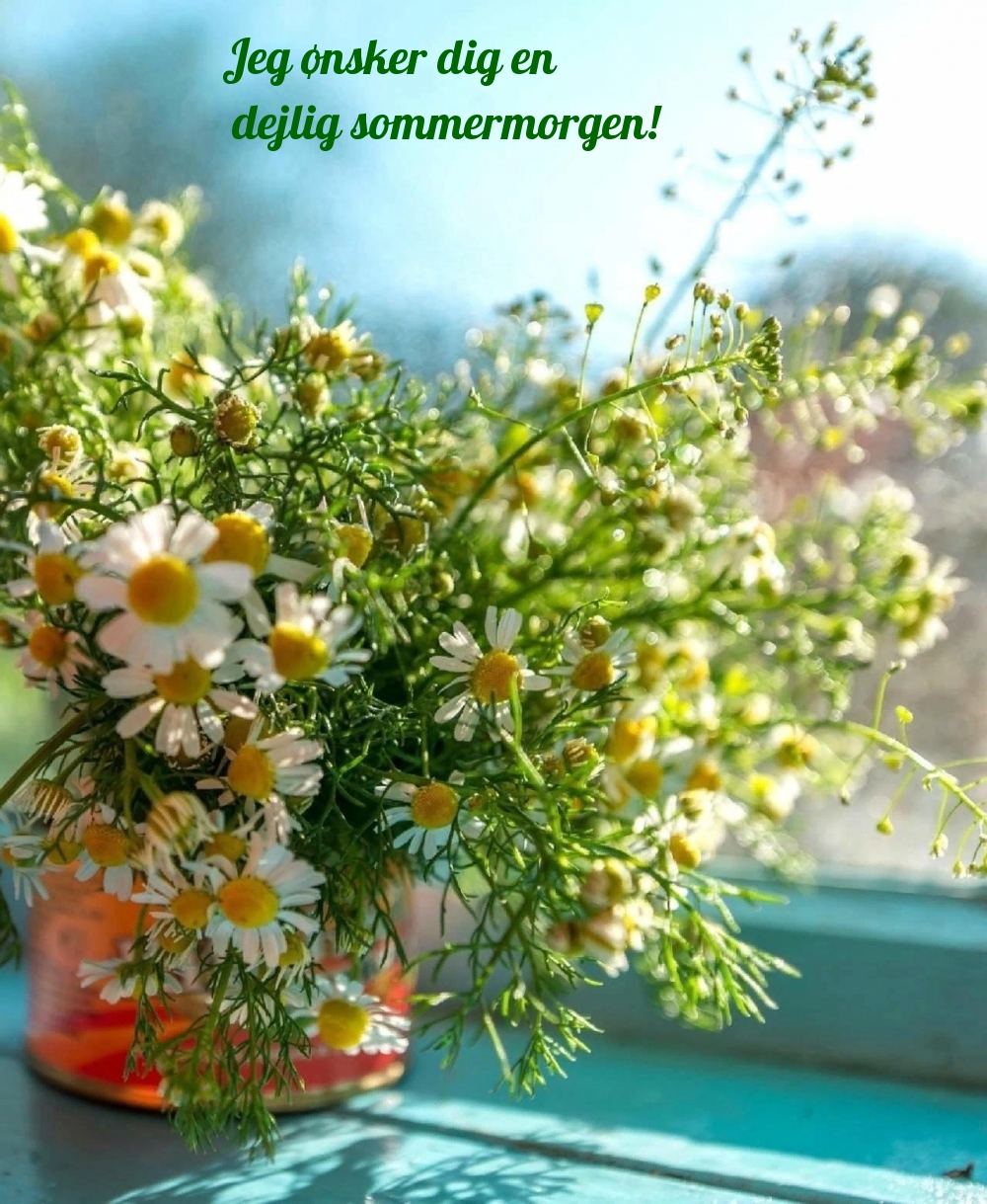 Jeg ønsker dig en dejlig sommermorgen!