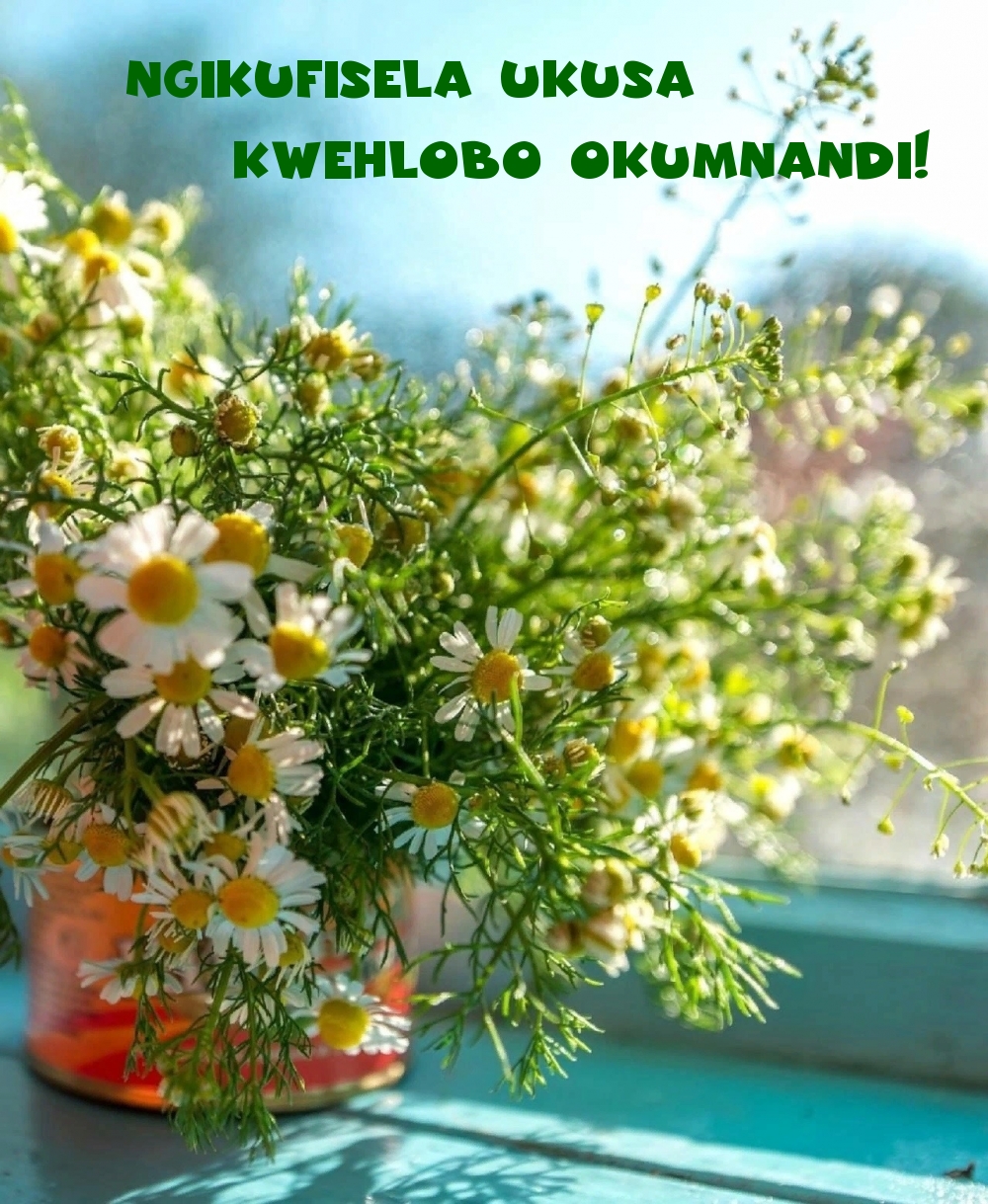 Ngikufisela ukusa kwehlobo okumnandi!