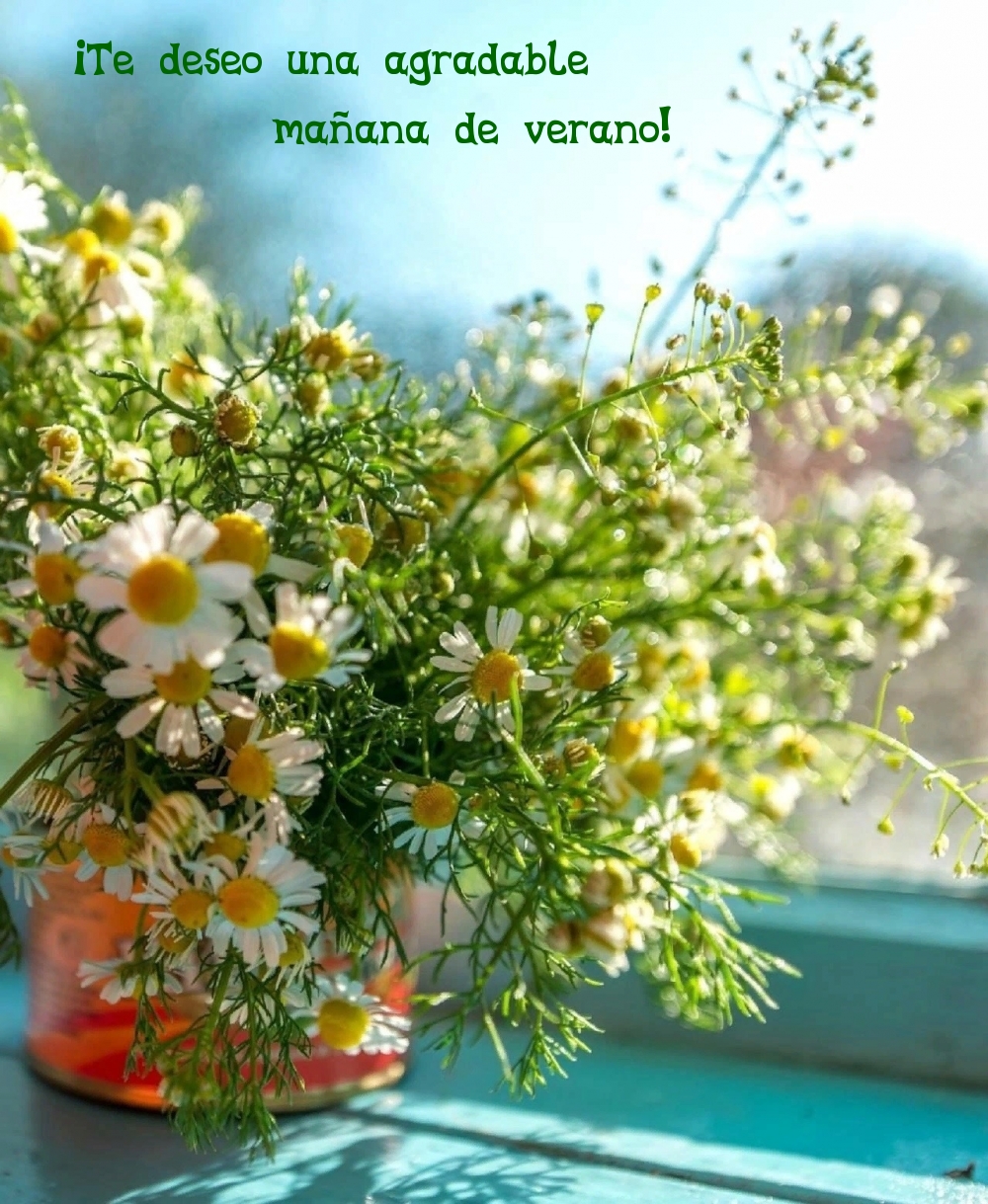 ¡Te deseo una agradable mañana de verano!