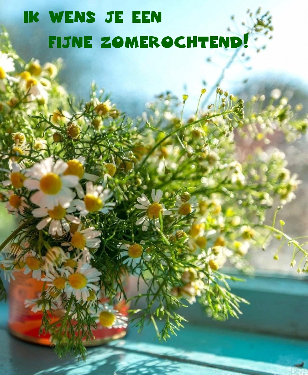 Ik wens je een fijne zomerochtend!