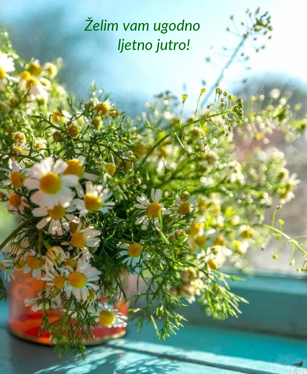 Želim vam ugodno ljetno jutro!