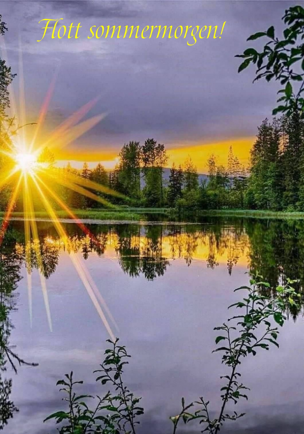 Flott sommermorgen!