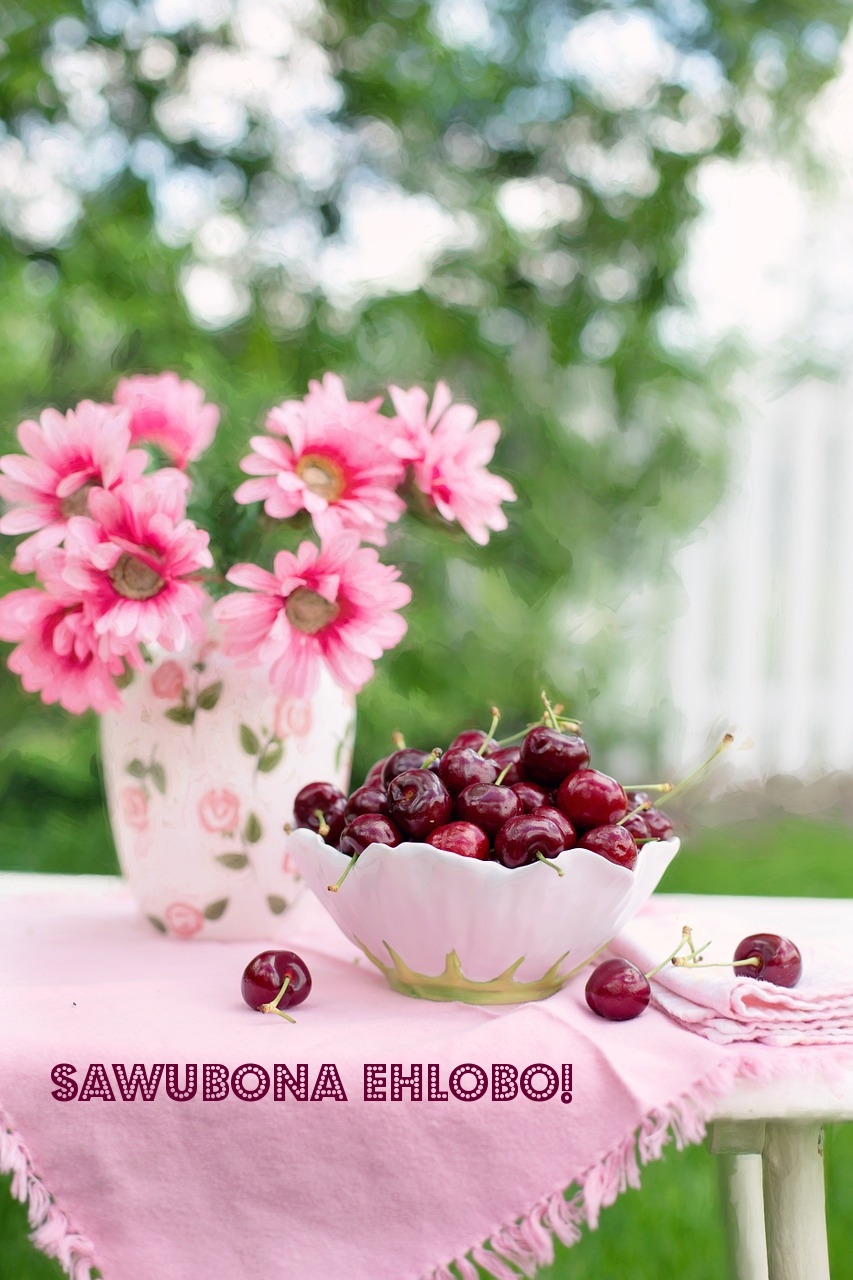 Sawubona ehlobo!