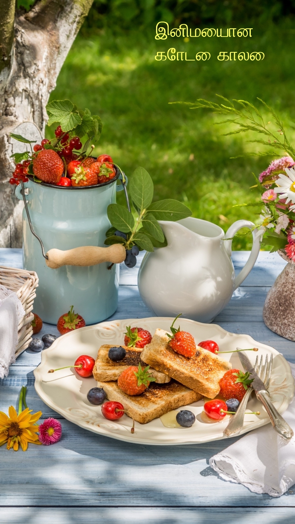 இனிமையான கோடை காலை!