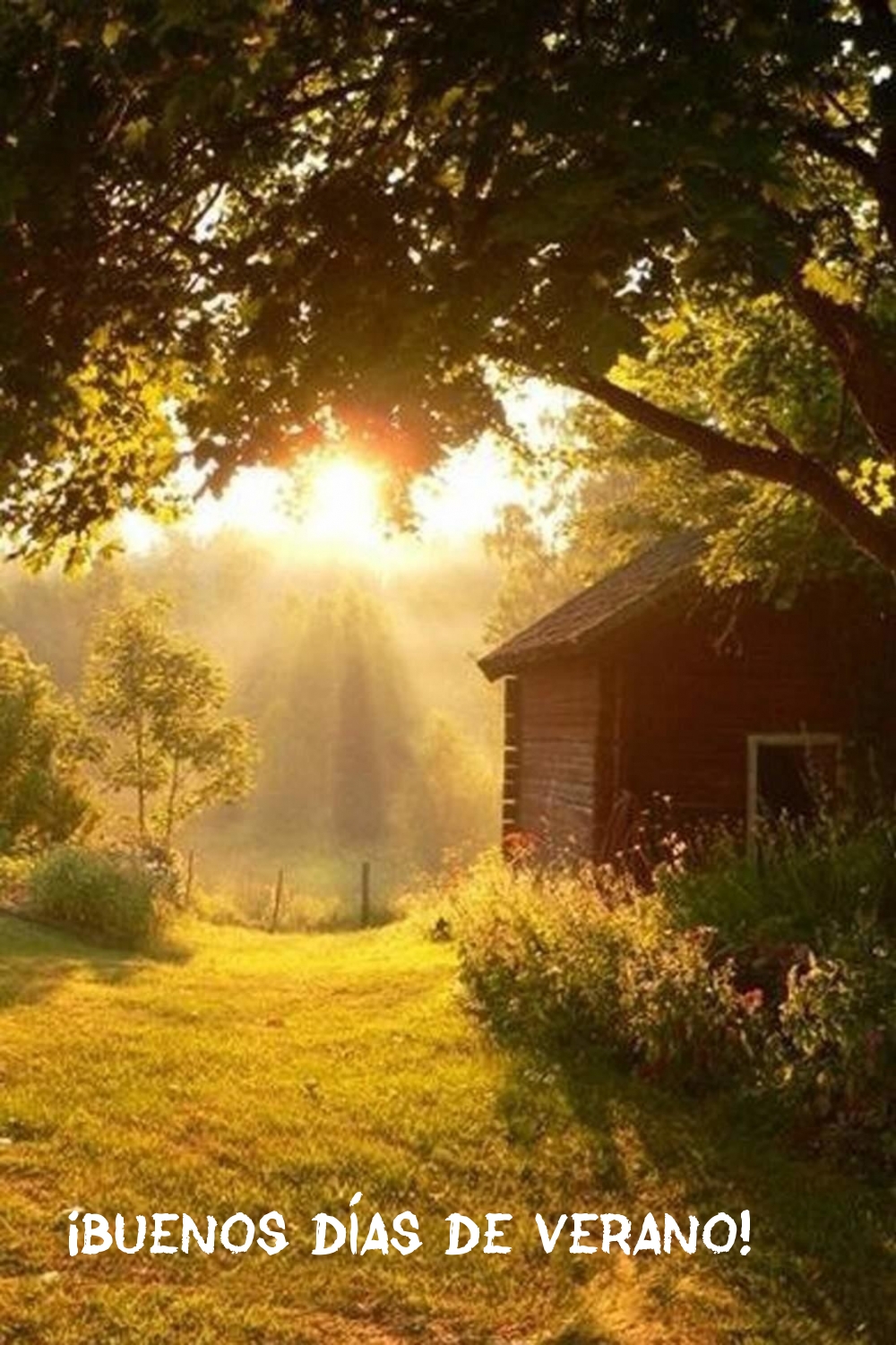 ¡Buenos días de verano!